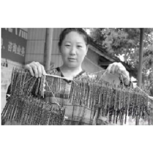 湖南一村上万蜈蚣上路青蛙跟随 村民恐发生地震