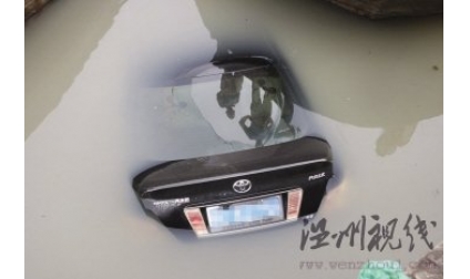 丰田车坠河 男子挥锄破窗救司机