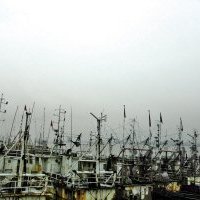 温州警方疏散千人 化解40艘船撞向大桥危机