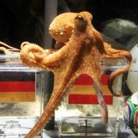 神准章鱼哥被网友PS恶搞 渴望中国队进世界杯决赛