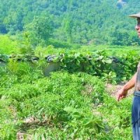 河南省信阳市奇人怪事多：23岁小伙因父母娇惯懒惰