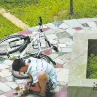 宁波“虐猫少年”小区门口虐猫