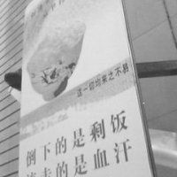 温州大学毕业生致力于营销校园餐桌广告