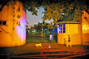 两中学生校门口被十多名壮汉劫走 疑犯提前踩点