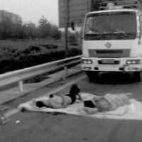 两男子开车犯困高速路上搭地铺睡觉