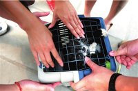 居民虐杀流浪猫被曝光 当事人称受猫困扰(图)