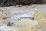 广西巴马暴雨造成严重洪涝灾害