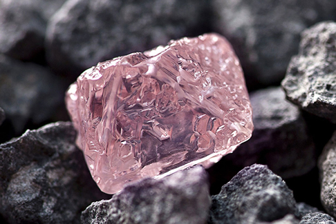 <b>世界上最大粉红色钻石 12.76克拉“阿盖尔粉红禧”澳</b>