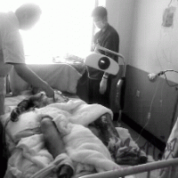 伊春空难幸存者描述客机坠落生死七分钟