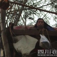 重庆“鸟人”拆迁户陈茂国被判有期徒刑3年