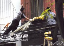 居民楼现三米长黄金巨蟒 居民的宠物黄金蟒爬出