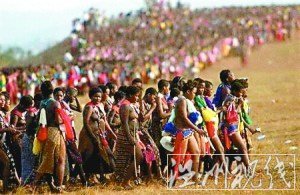 南非总统现场观看\芦苇节\2.6万少女验处女