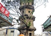 瑞安广福寺塔超10度斜塔 瑞安东塔将被纠偏扶正恢复