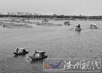 温瑞塘河沿河企业代表发出倡议加入温瑞塘河综合治