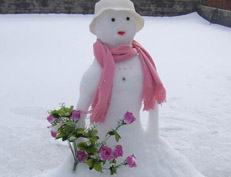 温州下大雪了！温州的天气多年没有见到大雪！