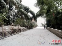 温州天气受到新的寒潮影响 低温雨雪冰冻天气再袭南
