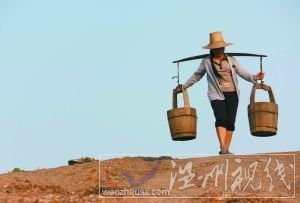 5月20日,江西宜春袁州区湖田镇双湖村,一位农妇挑水抗旱保苗。邹海斌