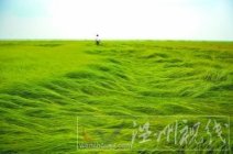 干旱天气持续 未来一周仍无降水三峡水库补水只能再