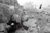 山东长岛海域原油污染 蓬莱19-3海上钻井漏油污染山