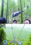 江苏宜兴滑道 宜兴竹海滑道出事 3死25伤