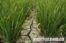 贵州省旱情 预计未来三天全省大部干旱持续发展