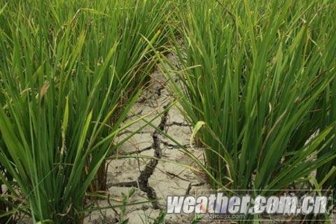 贵州未来一周无明显降水 旱情再次发展