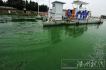 巢湖蓝藻　持续高温影响使再度“抬头”大面积集聚