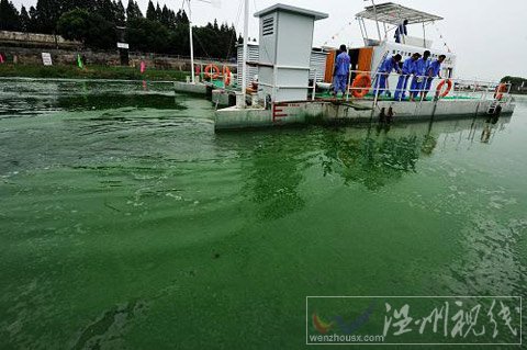 巢湖蓝藻再度&ldquo;抬头&rdquo;(组图)