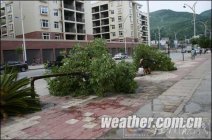 贵州铜仁昨日下午遭瞬时雷雨大风 2人死亡