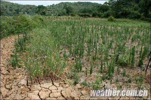 黔湘桂未来旱情难缓解
