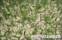 遵义干旱 持续高温少雨旱情发展 100万余人饮水困难