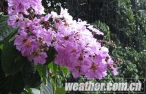 广西雨水缓高温 今明两天仍有强降雨