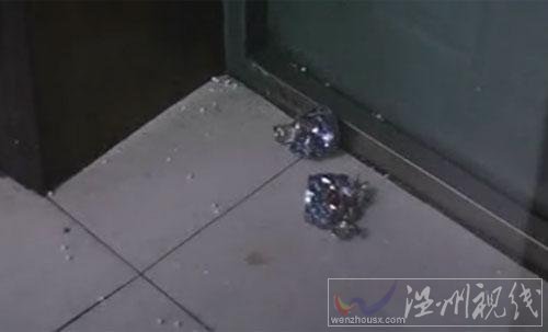 几十发BB弹将易拉罐打碎 李天一的冲锋枪