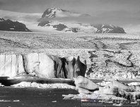 全球升温影响北冰洋 海冰将在30年内消失 生物面临绝