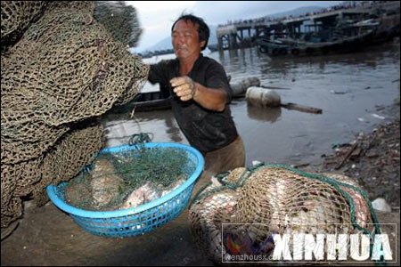 台风之王&ldquo;桑美&rdquo;