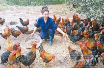 永嘉县鹤盛镇东皋东皋村冉艳和周永雨演绎楠溪江畔