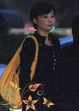 袁莉夜里独自一人驾车外出 车子和人发生刮擦袁莉亲