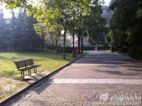 上海市本周天气情况 气温变化大本周四有冷空气
