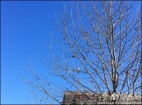 北京本周天气晴好 未来几天北京的天气也晴朗为主