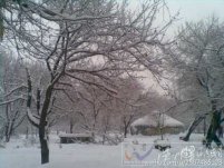 今明天新疆低温降雪持续 春运返乡需注意