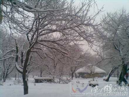 新疆低温降雪大风持续 春运返乡要看&ldquo;天&rdquo;出行