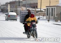 近期青海持续性降雪致交通业和畜牧业受阻