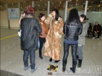 张咪逃加拿大 报案人机场拦截警方放行张咪偷逃加拿