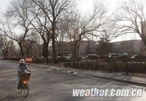 北京“五九”冷过“三九” 北京周末温暖再现将会升