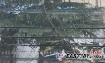 上海下大雪啦 2月10日上海市雨雪天气上海市徐家汇区