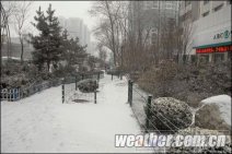青海降雪 青海降雪低温人们出行受阻