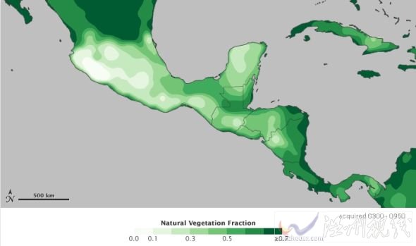 玛雅文明覆灭或因气候干燥