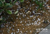 合肥3月19冰雹 19日下午合肥下冰雹合肥天气遭遇强对