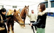 市民骑马上街路人报警 郑州骑马上街市民称打车难就