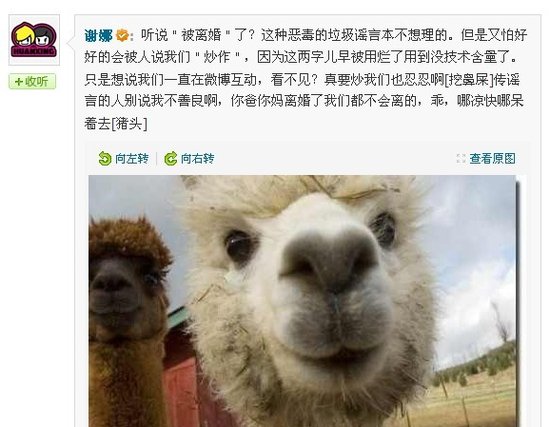 张杰谢娜被离婚,谢娜微博怒骂送造谣者“草泥马”